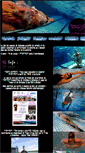 Mobile Screenshot of guingamp-natation.com