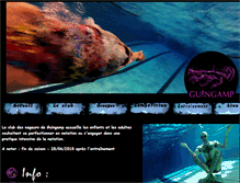 Tablet Screenshot of guingamp-natation.com